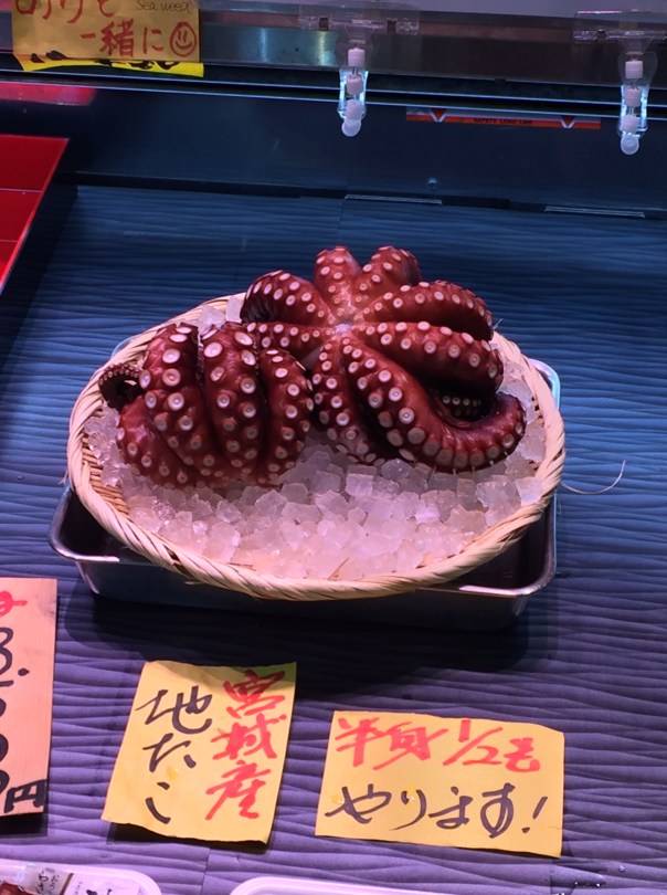Octopus in Tsujiki